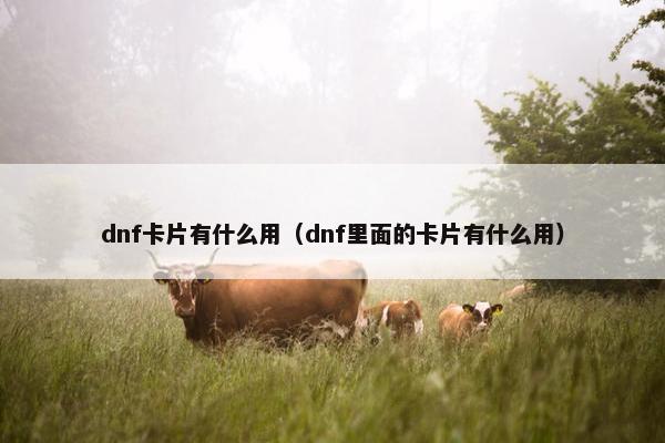 dnf卡片有什么用（dnf里面的卡片有什么用）