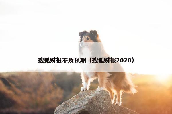 搜狐财报不及预期（搜狐财报2020）