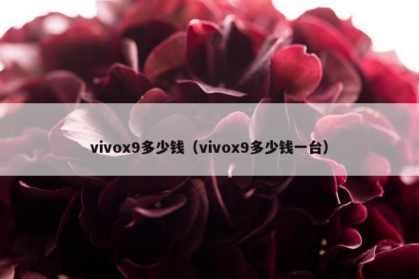 vivox9多少钱（vivox9多少钱一台）