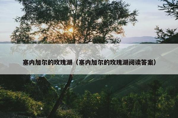 塞内加尔的玫瑰湖（塞内加尔的玫瑰湖阅读答案）