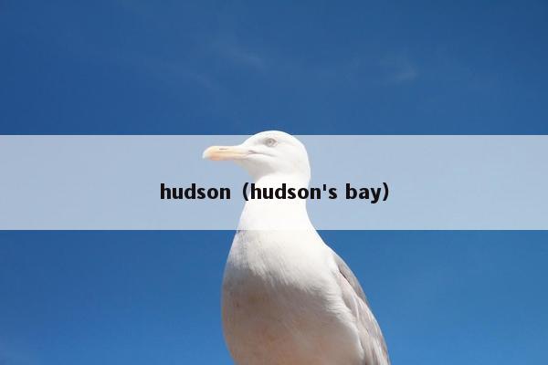 hudson（hudson's bay）