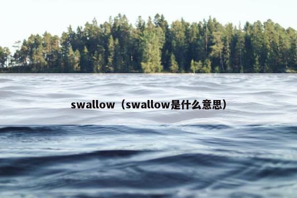 swallow（swallow是什么意思）
