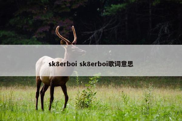 sk8erboi sk8erboi歌词意思