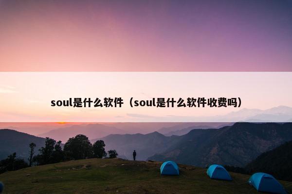 soul是什么软件（soul是什么软件收费吗）