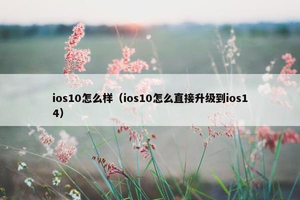ios10怎么样（ios10怎么直接升级到ios14）