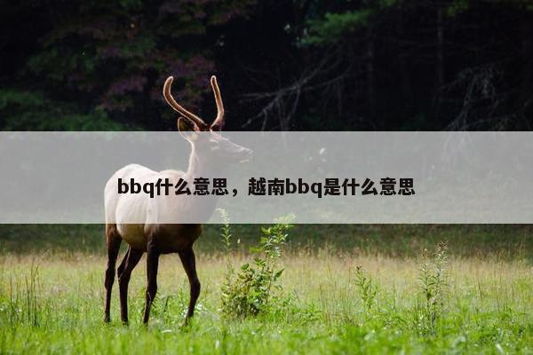 bbq什么意思，越南bbq是什么意思