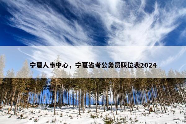 宁夏人事中心，宁夏省考公务员职位表2024