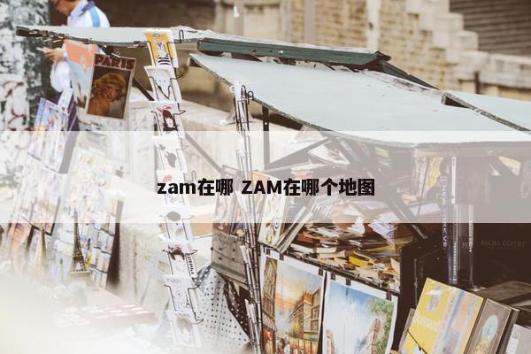 zam在哪 ZAM在哪个地图