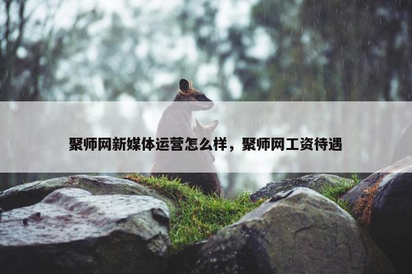 聚师网新媒体运营怎么样，聚师网工资待遇