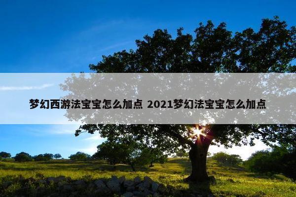 梦幻西游法宝宝怎么加点 2021梦幻法宝宝怎么加点