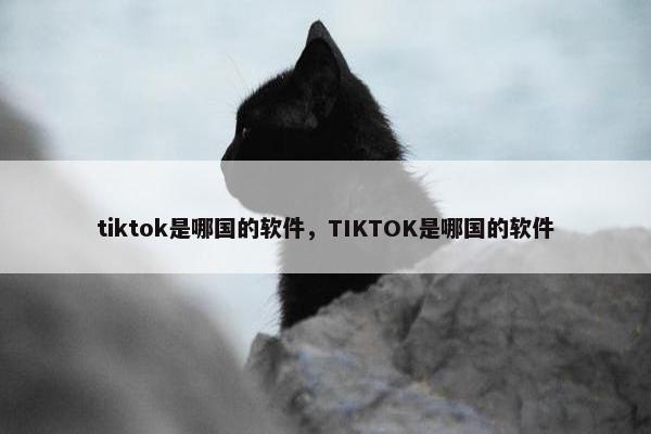 tiktok是哪国的软件，TIKTOK是哪国的软件