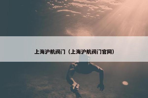 上海沪航阀门（上海沪航阀门官网）