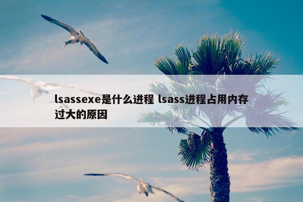 lsassexe是什么进程 lsass进程占用内存过大的原因