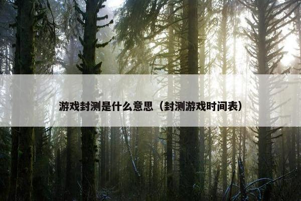 游戏封测是什么意思（封测游戏时间表）