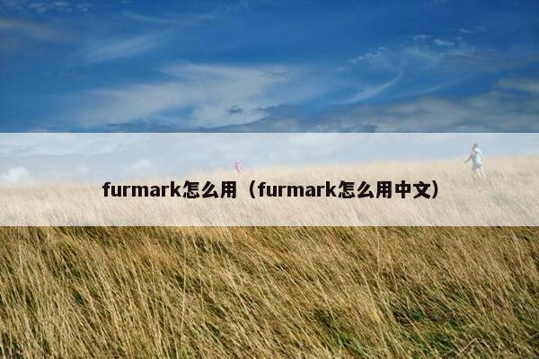 furmark怎么用（furmark怎么用中文）