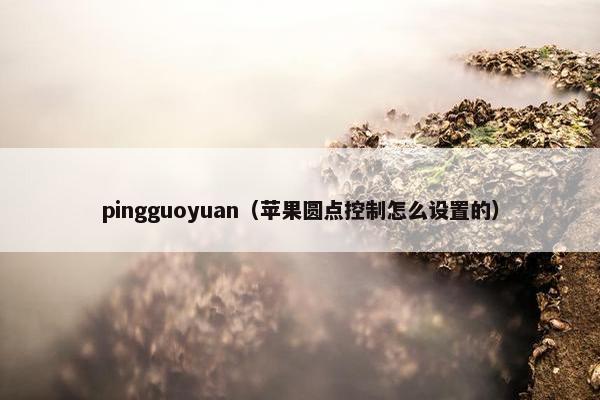pingguoyuan（苹果圆点控制怎么设置的）