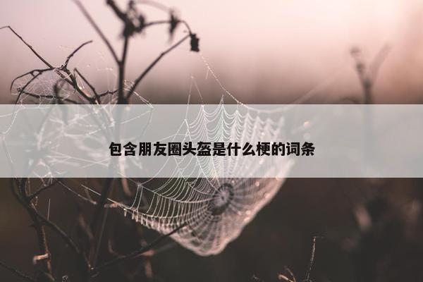 包含朋友圈头盔是什么梗的词条