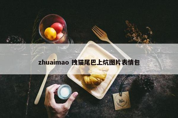 zhuaimao 拽猫尾巴上炕图片表情包