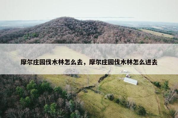 摩尔庄园伐木林怎么去，摩尔庄园伐木林怎么进去