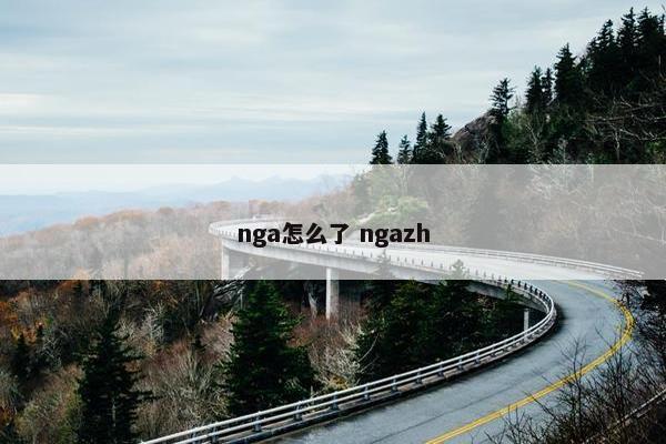 nga怎么了 ngazh