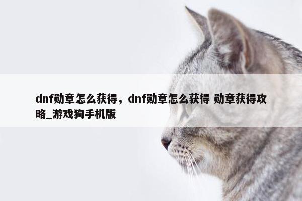 dnf勋章怎么获得，dnf勋章怎么获得 勋章获得攻略_游戏狗手机版