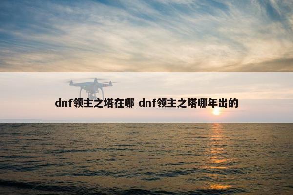 dnf领主之塔在哪 dnf领主之塔哪年出的