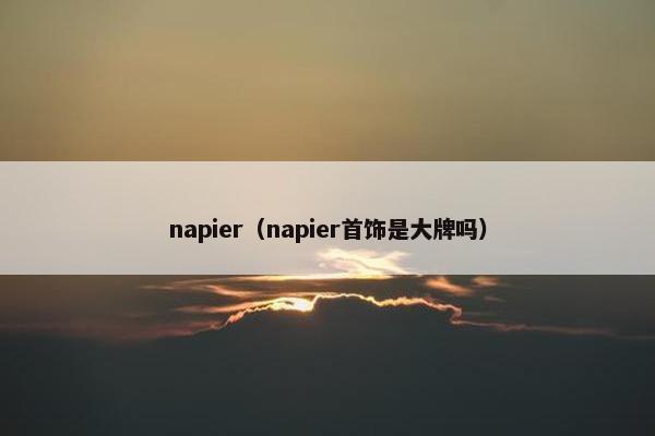 napier（napier首饰是大牌吗）