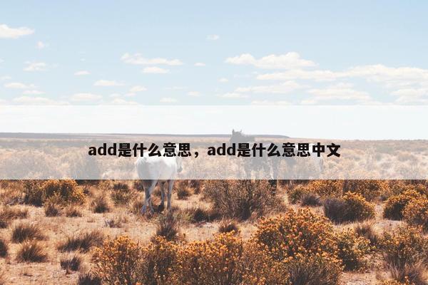 add是什么意思，add是什么意思中文