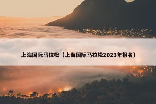 上海国际马拉松（上海国际马拉松2023年报名）
