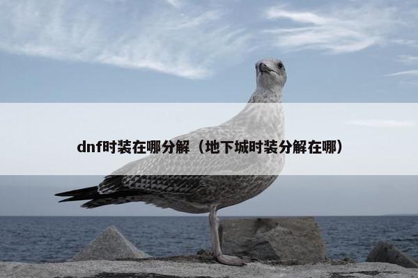 dnf时装在哪分解（地下城时装分解在哪）