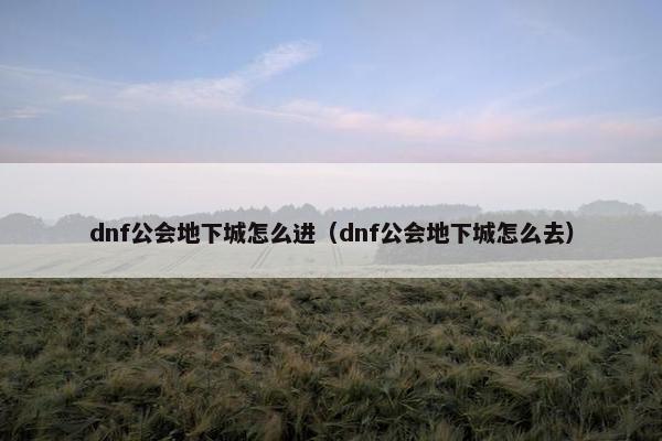 dnf公会地下城怎么进（dnf公会地下城怎么去）