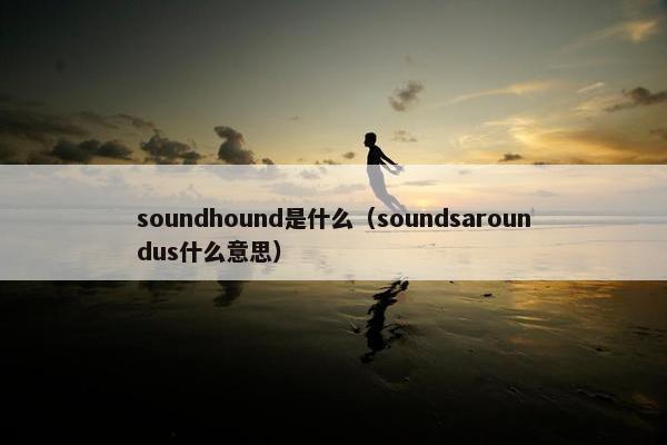 soundhound是什么（soundsaroundus什么意思）
