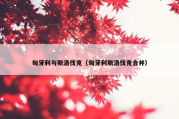 匈牙利与斯洛伐克（匈牙利斯洛伐克合并）