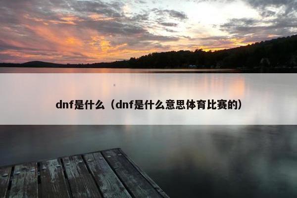 dnf是什么（dnf是什么意思体育比赛的）