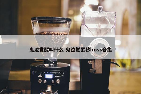 鬼泣觉醒叫什么 鬼泣觉醒秒boss合集