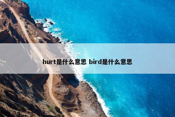 hurt是什么意思 bird是什么意思