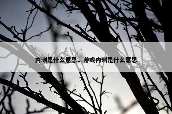 内测是什么意思，游戏内测是什么意思