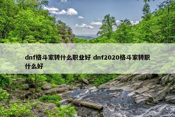 dnf格斗家转什么职业好 dnf2020格斗家转职什么好