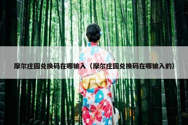 摩尔庄园兑换码在哪输入（摩尔庄园兑换码在哪输入的）