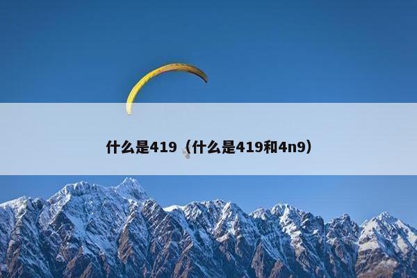 什么是419（什么是419和4n9）