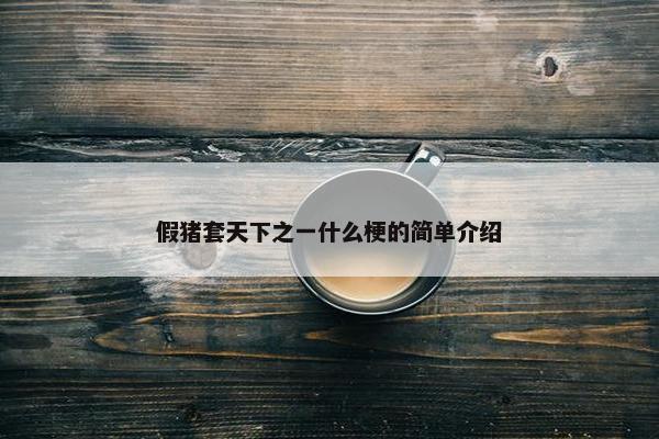 假猪套天下之一什么梗的简单介绍