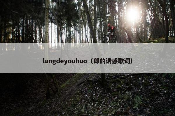 langdeyouhuo（郎的诱惑歌词）