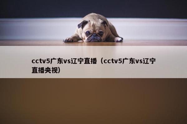 cctv5广东vs辽宁直播（cctv5广东vs辽宁直播央视）