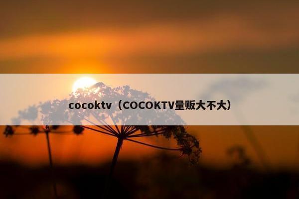 cocoktv（COCOKTV量贩大不大）