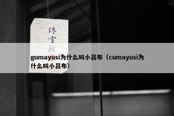 gumayusi为什么叫小吕布（cumayusi为什么叫小吕布）