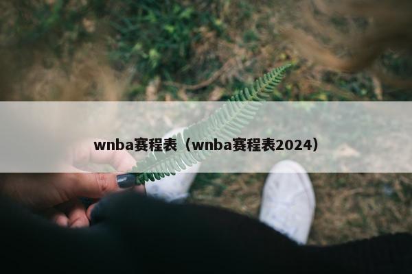 wnba赛程表（wnba赛程表2024）