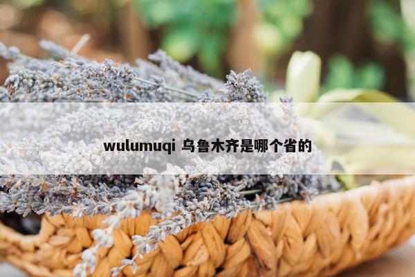 wulumuqi 乌鲁木齐是哪个省的