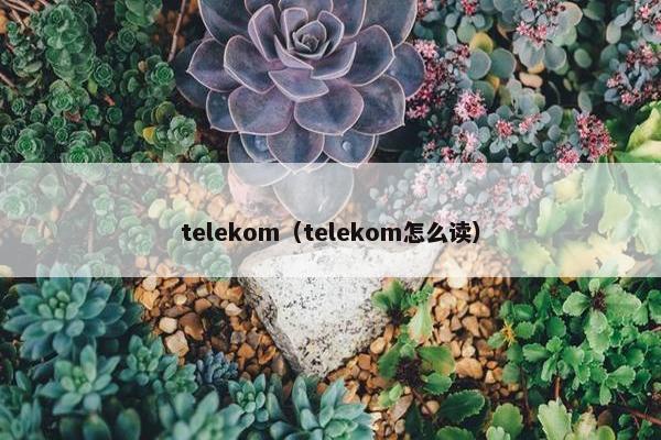 telekom（telekom怎么读）