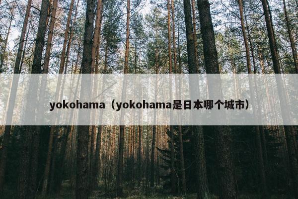 yokohama（yokohama是日本哪个城市）