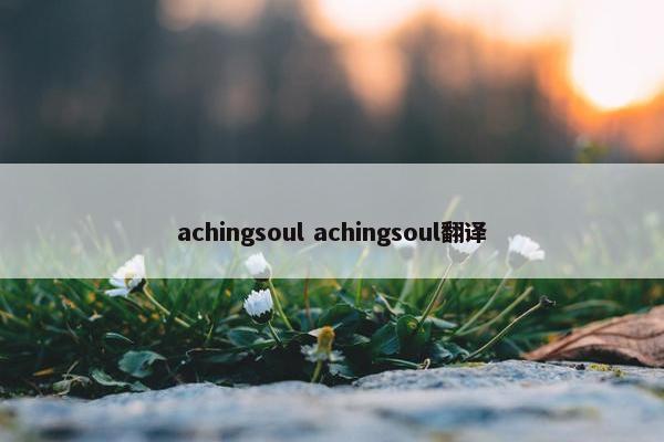 achingsoul achingsoul翻译